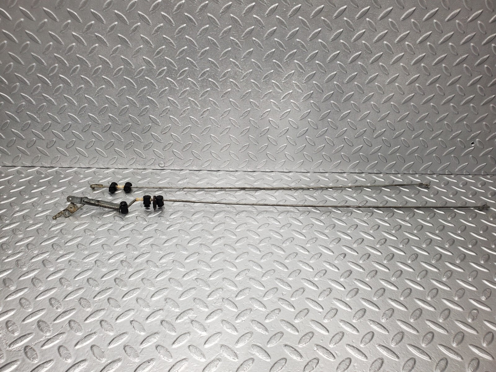 44496437