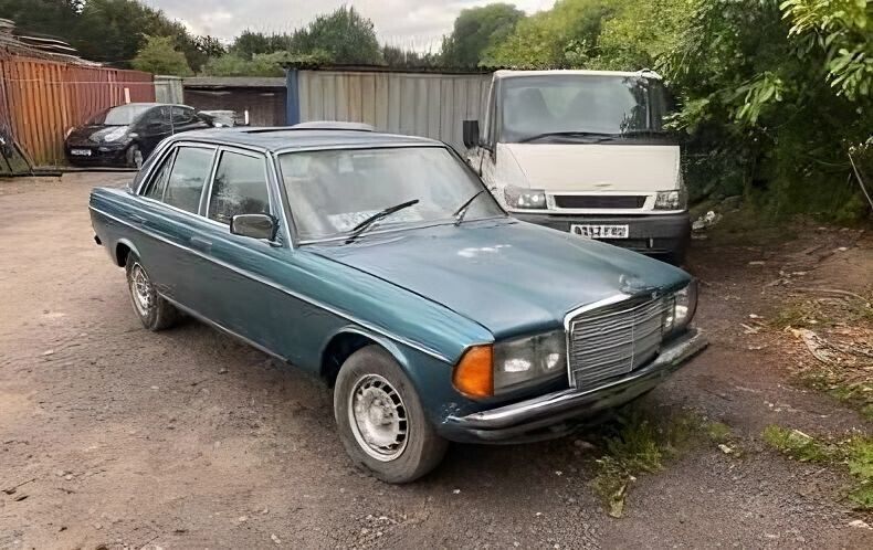 29669 Mercedes-Benz W123 230E Rear Right Door Lock Mechanism 1237230208