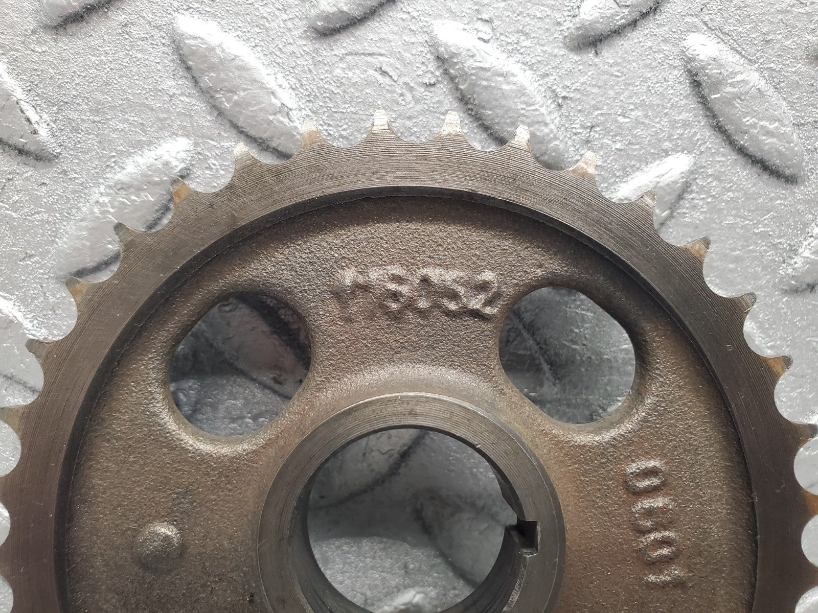 46056702