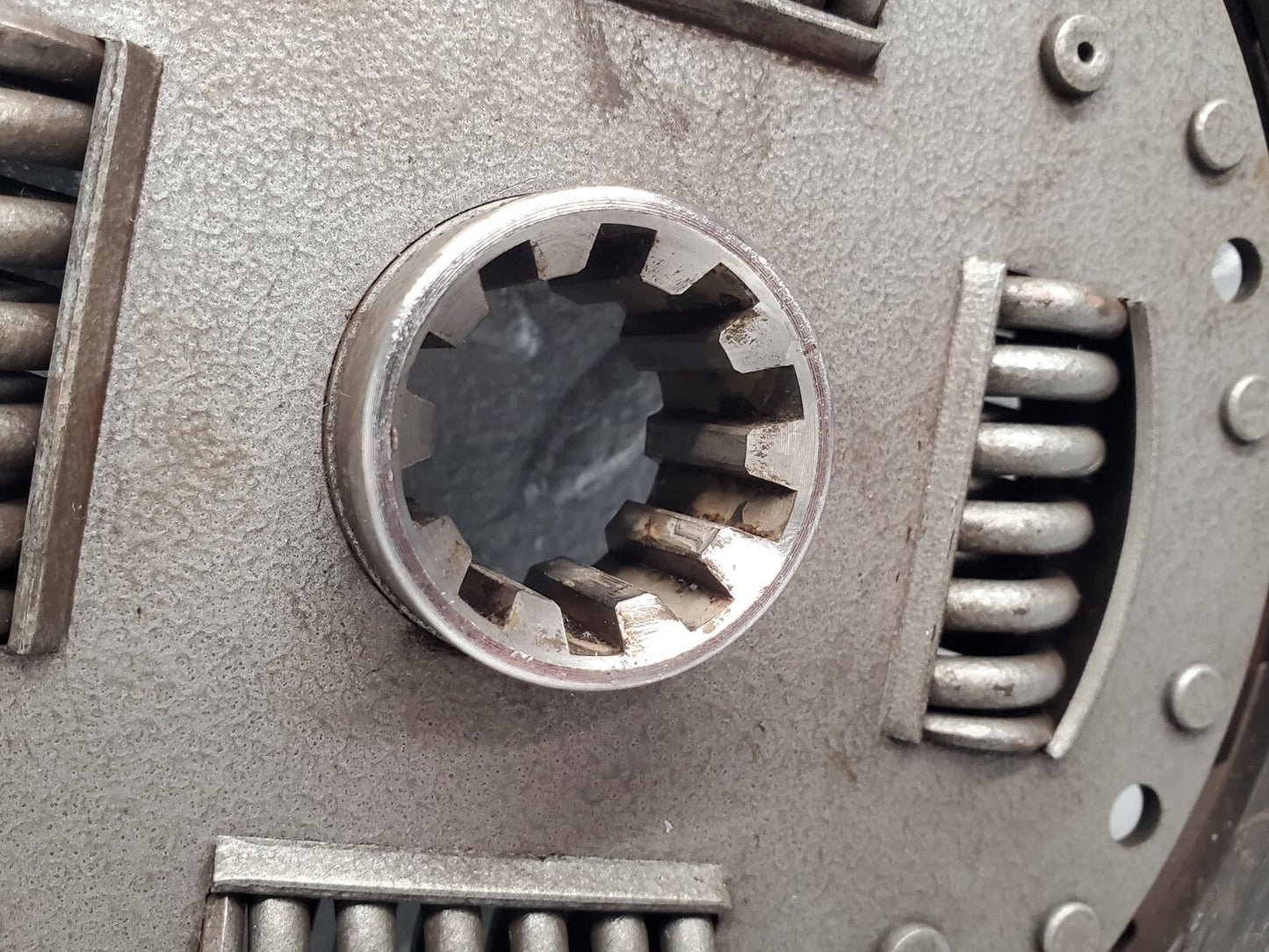 45045538