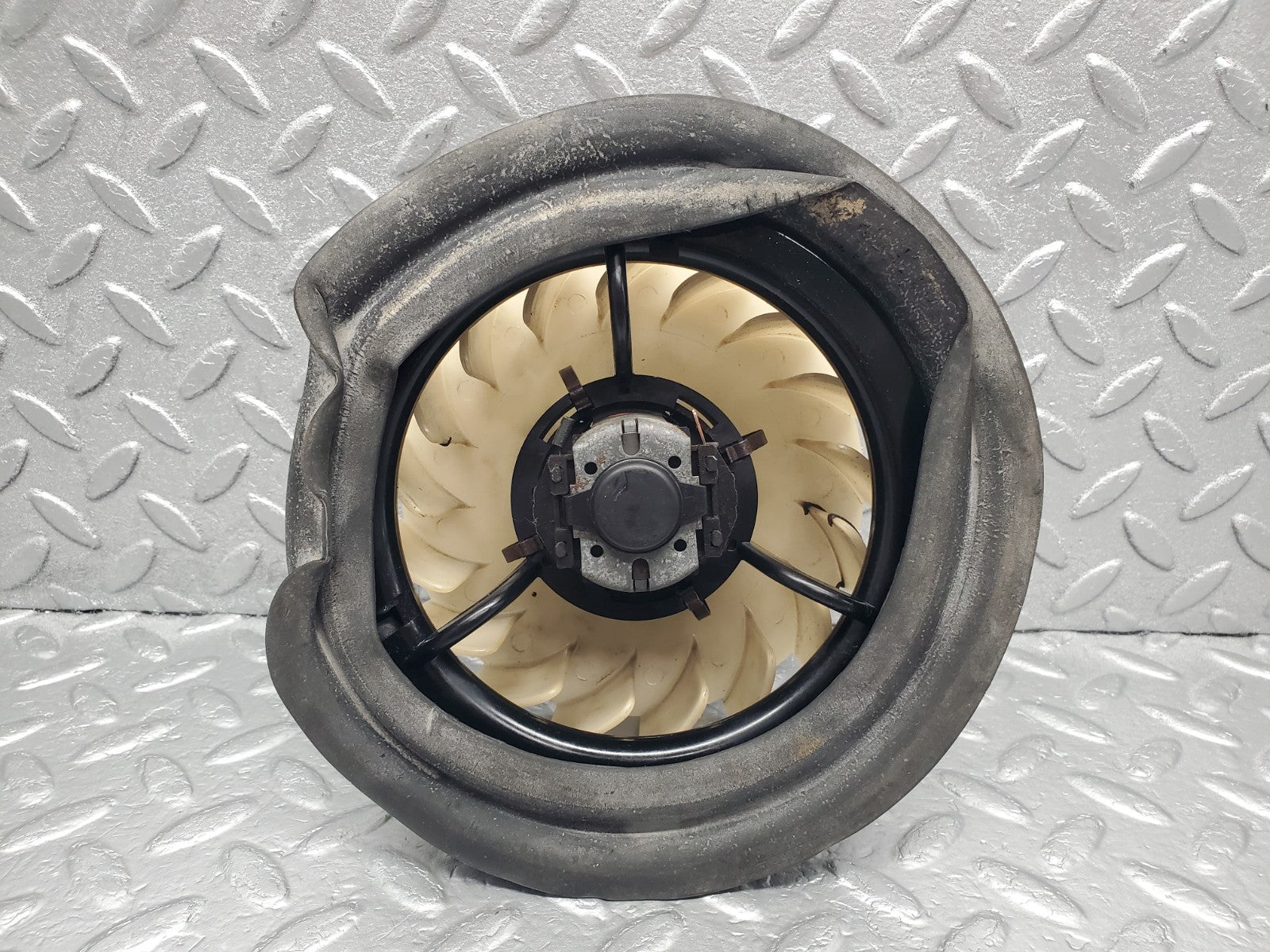 46072081