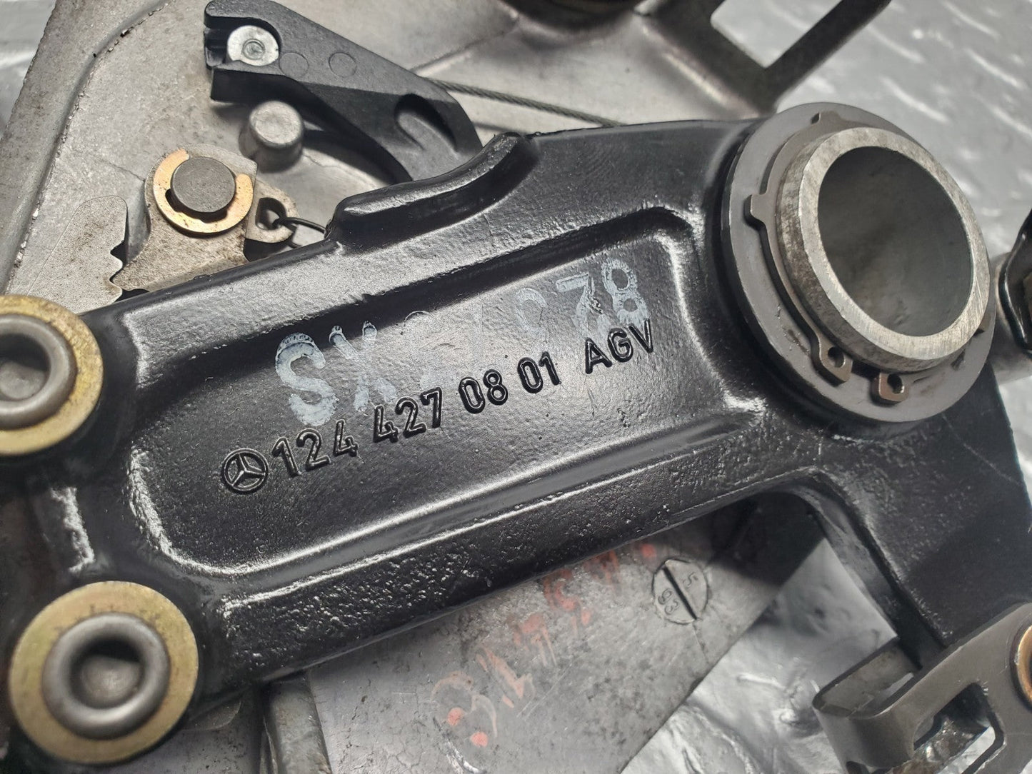 46911919